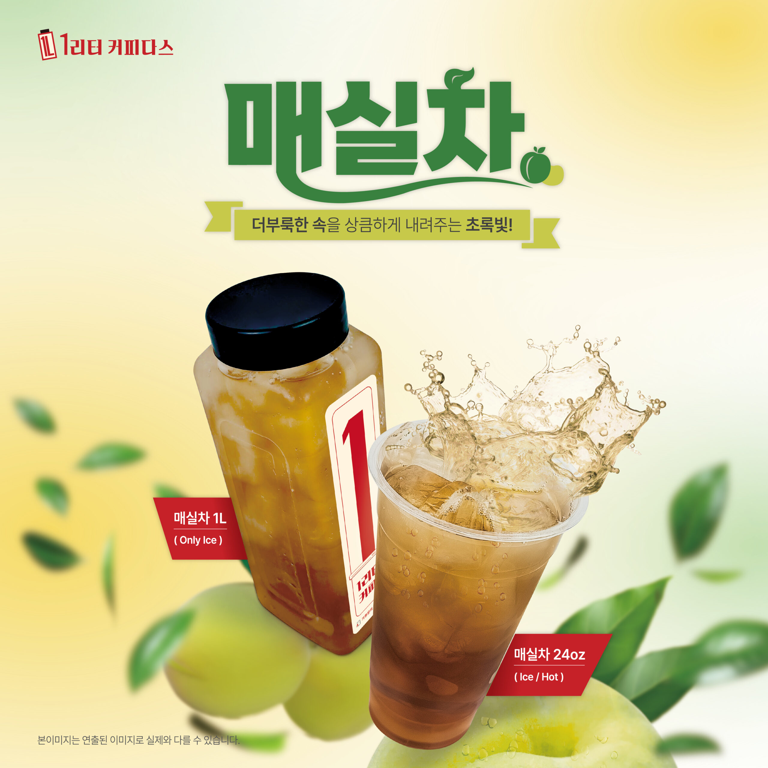매실차 인스타_대지 1